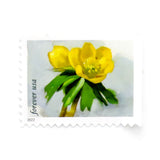 Load image into Gallery viewer, 2022 First-Class Forever Stamp - Snowy Beauty: Winter Aconite