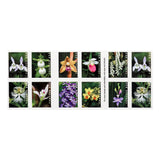 Load image into Gallery viewer, U.S. 2021 Wild Orchids Framed Forever Stamps