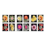 Load image into Gallery viewer, U.S. 2019 Cactus Forever Stamps