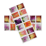 Load image into Gallery viewer, 2023 US First-Class Forever Stamps - Tulip Blossoms booklet