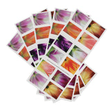 Load image into Gallery viewer, 2023 US First-Class Forever Stamps - Tulip Blossoms booklet