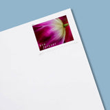 Load image into Gallery viewer, 2023 US First-Class Forever Stamps - Tulip Blossoms booklet